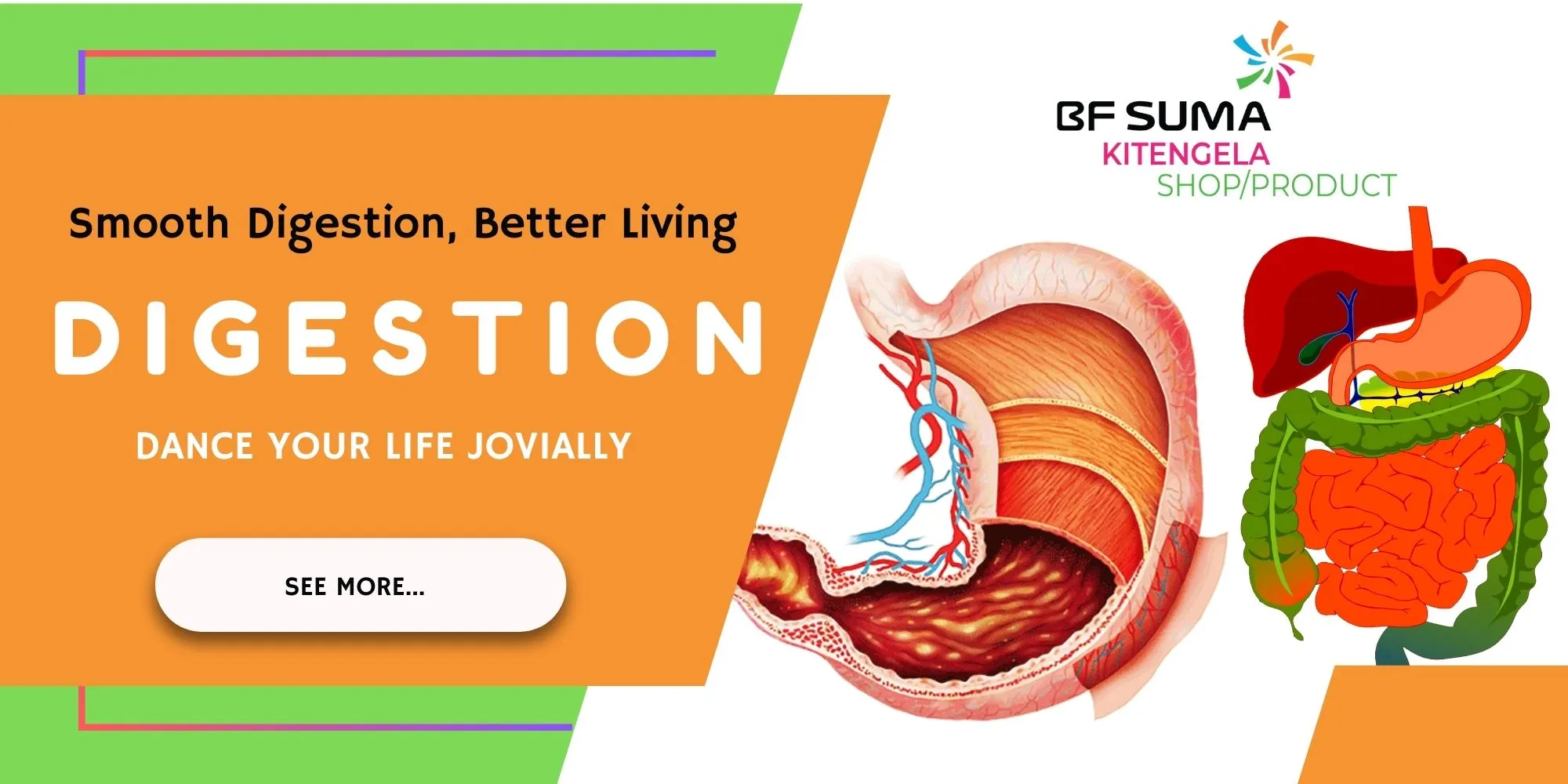 Digestion